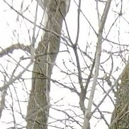 Юрий, 45 лет, Спасск-Дальний Юрий, 45 лет, Спасск-Дальний