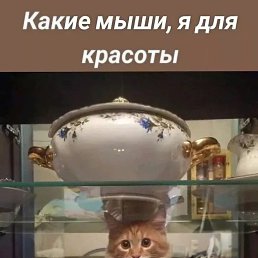 ���� �����, ������, 43 ���� - ��������� 18 ���� 2025