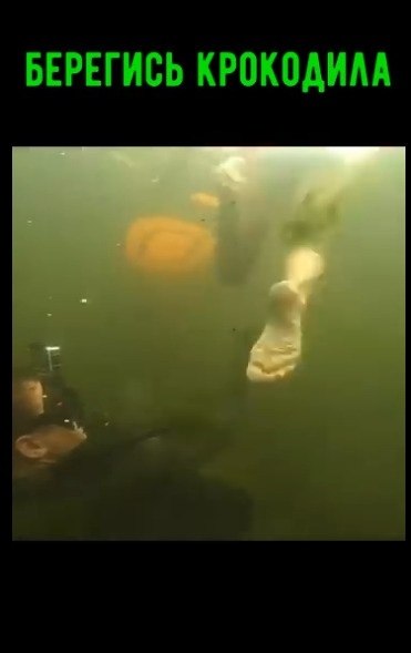 �������� ����� ���� � �����������