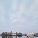 �����-���������� ��������� �������. ������������ ������� �� ������� ���� ����������