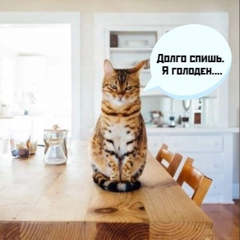 ��� ���� � ����� �� �� - 13 ������� 2025 � 10:03