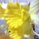 ���� ��������, ������ - ��������� 8 ���� 2026 � ������ �������