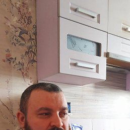 �������, �������, 41 ���