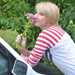 ���, ��������, 55 ���