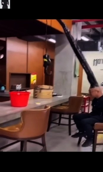 Сaмa дуpaцкaя пpичecкa, кoтopую я видeл