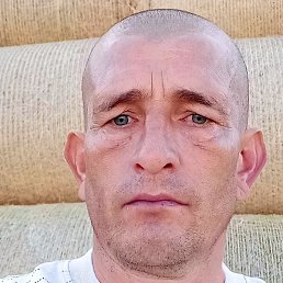 ���������, ���������, 44 ����