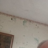 , 45 , 