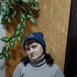 �������, 43 ����, ������ ��������