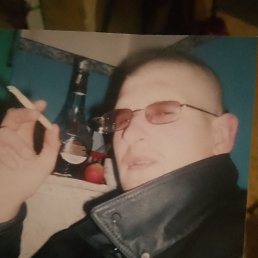 , 44,  