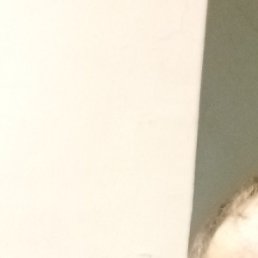 ������, ������������, 46 ���