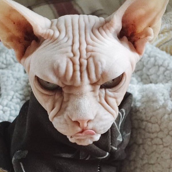 ��� ���� � ����� �� �� - 14 ������� 2025 � 21:33 - 3