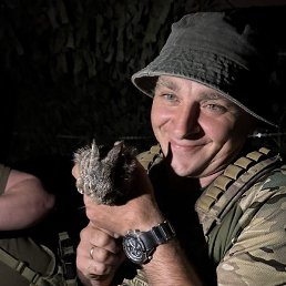 �������, �����, 42 ����