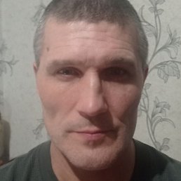 �����, �����, 46 ���