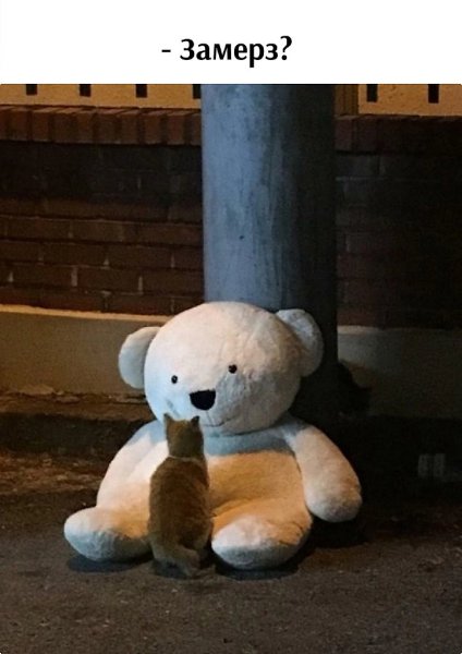       - 5  2024  16:01 - 2