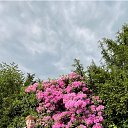 ���� ���, ������ - ��������� 12 ����� 2026 � ������ ���� ����������