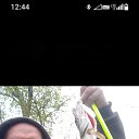 ���� �����, ������, 42 ���� - ��������� 31 ������ 2026