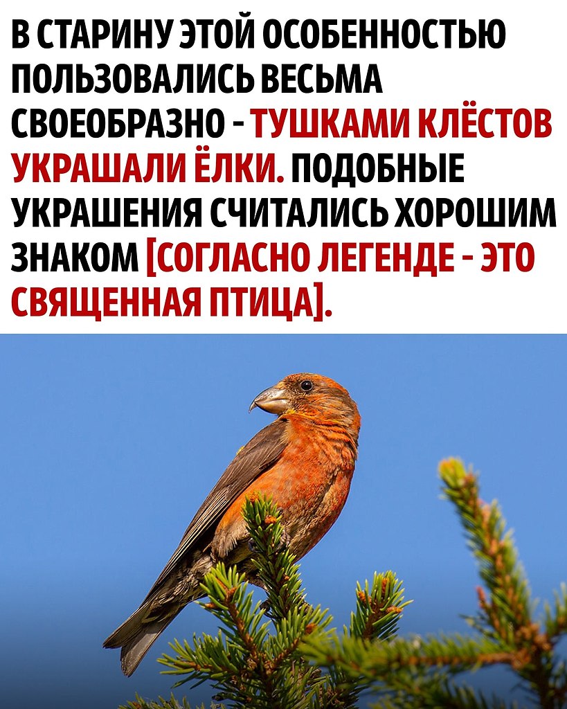     - 3