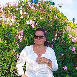 �������, ����, 64 ����