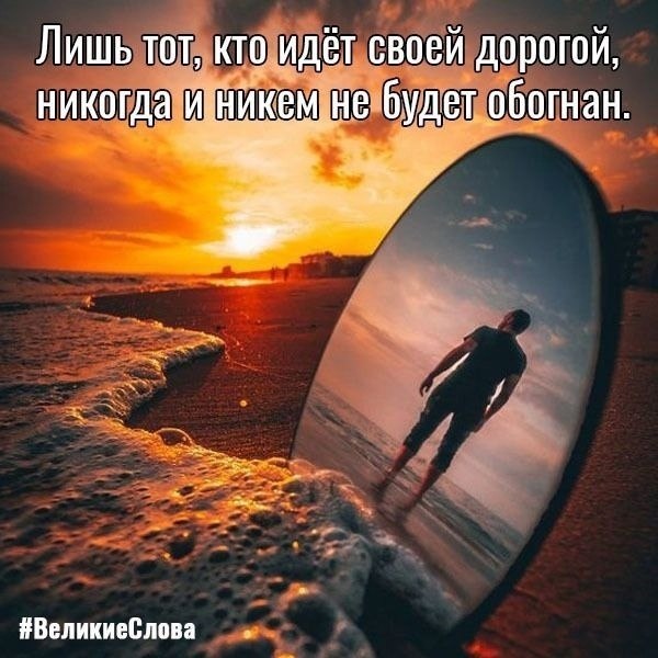   | ,    - 12  2025  11:33