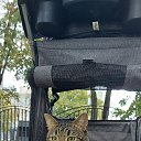 ���� �������, ������, 55 ��� - ��������� 2 ������ 2025 � ������ ������� ���