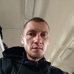 ������� �������, 41 ���, ������