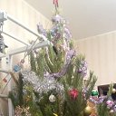 ���� ������� .).).), ����������� - ��������� 31 ������� 2024 � ������ ���� ����������