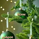 ���� ������, �������-���������, 49 ��� - ��������� 3 ������ 2024 � ������ ���� ����������