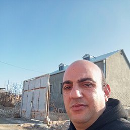 ABO, 37, 