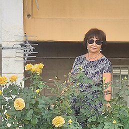 , 62, ,  