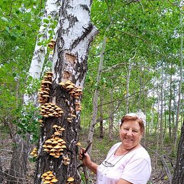 ���� �����, ��������, 67 ��� - ��������� 29 ������ 2026