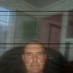 , 63, 