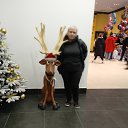 ���� �����, ������-��-����, 36 ��� - ��������� 20 ����� 2025 � ������ ���� ����������