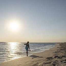 �����, ������, 65 ���