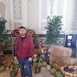 Komil, �������, 44 ����