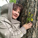 ���� �������, ����������, 41 ��� - ��������� 2 ���� 2025 � ������ ���� ����������