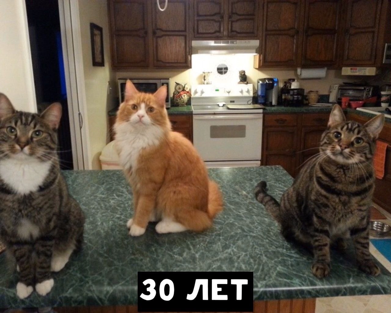       - 5