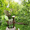 ���� �������=, ������, 64 ���� - ��������� 11 ������� 2024 � ������ ���� ������ ��������� �� �������