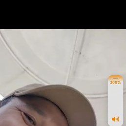 , 39, 