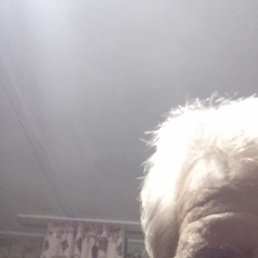 ����, ����, 49 ���