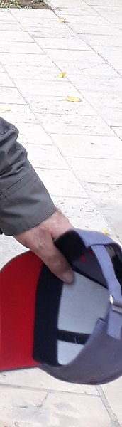 �������, ������ ��������, 51 ���