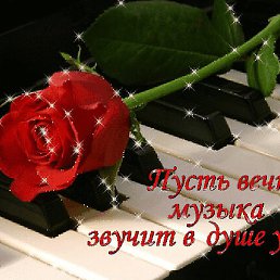 �����, �������, 48 ���