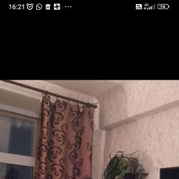 ������, 46 ���, ����