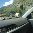 ���� �����, ������, 50 ��� - ��������� 7 ������ 2025 � ������ ���� ����������