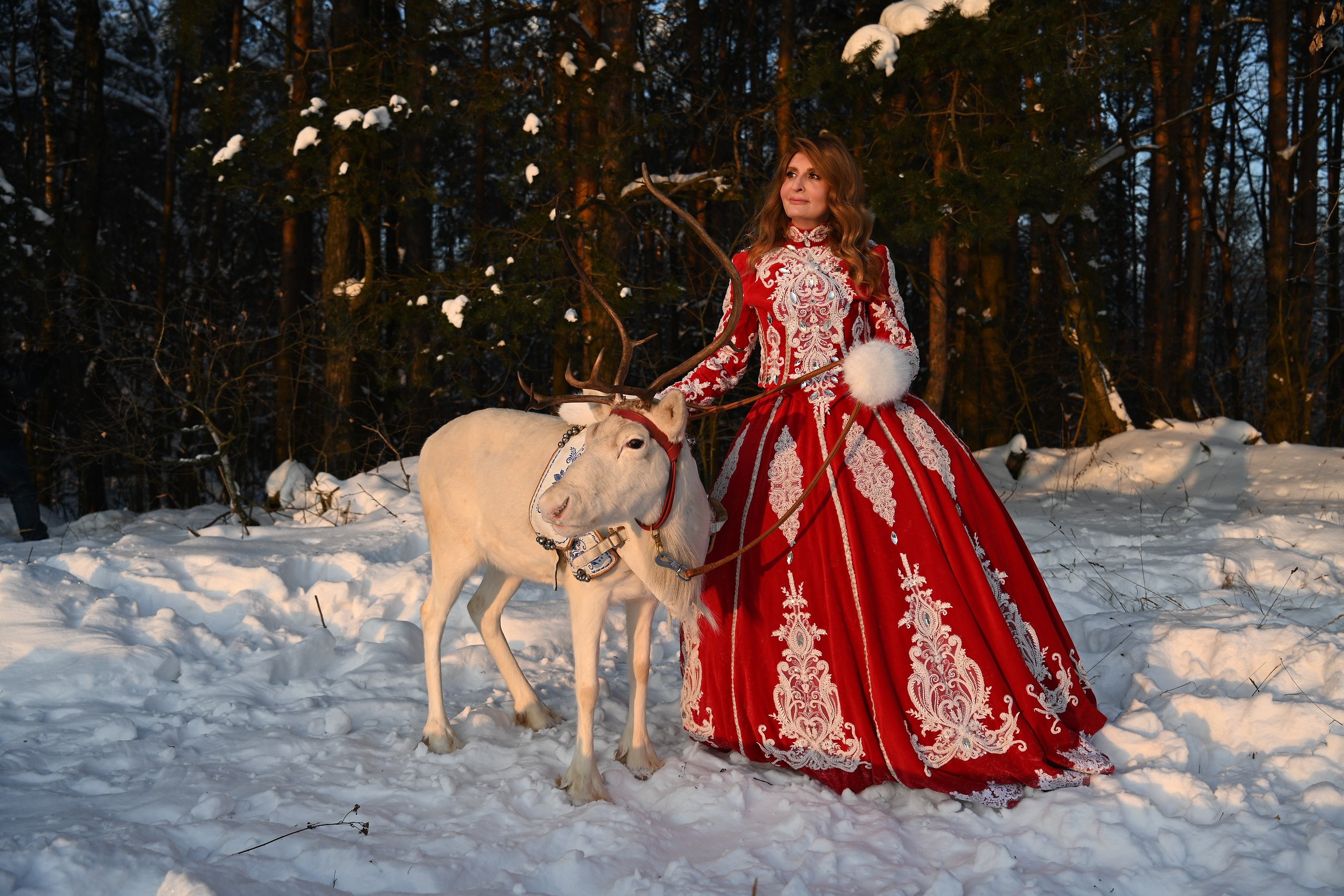 ���� ����������: ���� � ����� ���� ���� �������. � ������ -�� ��������� ������ ������� ...