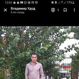 , 37, 