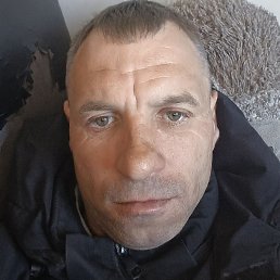 ������, ����, 40 ���