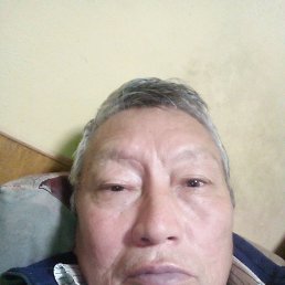 , 63, 