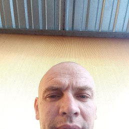 ., 42 , 