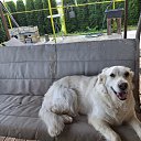 ���� Eleonora, ������, 58 ��� - ��������� 15 ������ 2025 � ������ ������ ��������