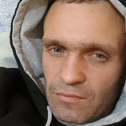 ���������, ������, 41 ���